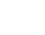 White logo - no background