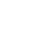 White logo - no background
